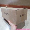 복숭아 병조림 절임 선물 세트 영플러스 황도 백도 3병 내돈 내산 솔직 후기