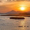 하단동1240 이미지