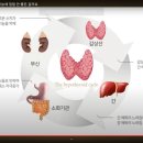 황미진유외과의원 네이버블로그
