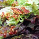 천마식당 Daum카페