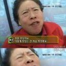 천애부 이미지