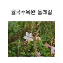 율곡수목원(4) | 파주 율곡수목원 둘레길, 율곡수목원 전망대 후기