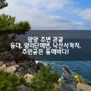 양양 주변 관광 - 여기저기 구경했지만, 언제나 주인공은 동해바다