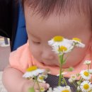 이불빅마트 이미지