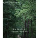 삼둔사가리 이미지