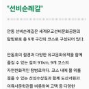 서도길 이미지