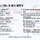 센베노 몽골어 첫걸음 이미지