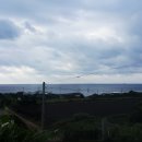 제주애 펜션 이미지