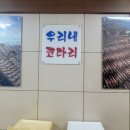 우리네코다리2 이미지
