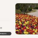 괴산교~제2괴산교 이미지