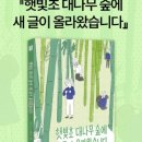 숲에새