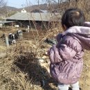 기연농장 이미지