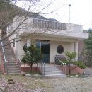 숲속에 아침 이미지