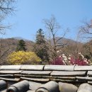 선암사 - 1428 | 선암사
