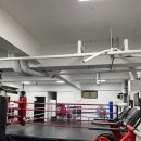 B&S 복싱 이미지