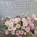 파리바게뜨중동위브점 | 중동꽃집 위브꽃집 가격 위치 영업시간