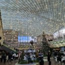 보라도서관 | 스타필드 코엑스몰 내에 있는 연인이나 아이들과 함께 가기 좋은 실내 공간 "별마당 도서관" 방문 후기