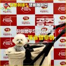 다온펫푸드 이미지