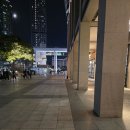 어제 저녁늦게 해생이가 왔어요 이미지