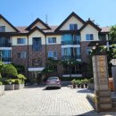 뜻밖의 발견 이미지