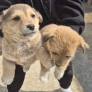 삼만원 이미지