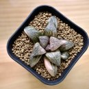 호반농장 이미지