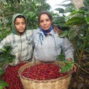 향미농장 이미지