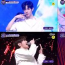 비비플래닛 TV리포트