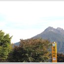충주호 종댕이 Daum카페