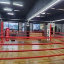 역동복싱 이미지