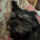 이현식당 | 이현로그 #2512