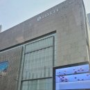 애견백화점 동탄점 이미지