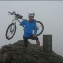 법물보건진료소 이미지