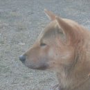 참진축산 이미지