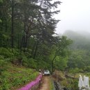 대문농장 이미지