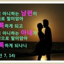 화평 이미지