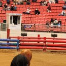 청도소싸움경기장 이미지