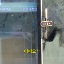 꼬마김밥&컵밥 이미지