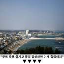 봄이 되면 아름다운 여행지 남해 이미지