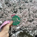 영암마트 월곡점 | [룸파기억로그#8] 봄 마라톤 추천::영암 벚꽃마라톤 10km 후기 ♡ !