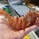 독도식당 이미지