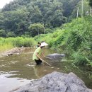 사계절오토캠핑장 이미지