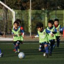 스포츠타운 인조잔디구장 이미지