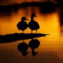 유정낚시터 이미지