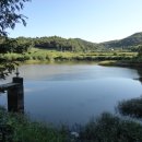 팔용당저수지 이미지