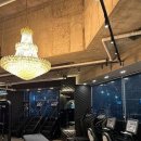 닥터피티 이미지