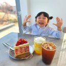 생곡로 | 부산 강서구 명지 신상 대형카페 엠오엘(MOL) 아이랑 후기｜주차부터 메뉴까지 총정리