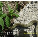 태준농장 이미지