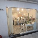 옐로즈 이미지