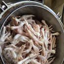 신세계건강원 이미지